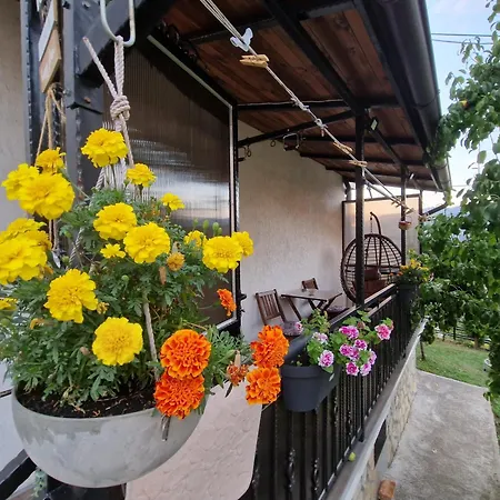 Apartment Garden Of Dreams & Free Private Parking